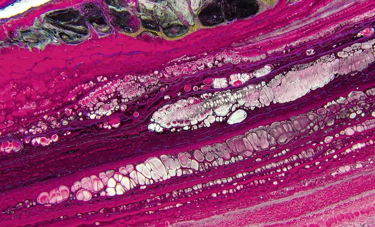 Художник 4 месяца снимал движение красок, чтобы создать впечатляющий таймлапс Художник 4 месяца снимал движение красок, чтобы создать впечатляющий таймлапс