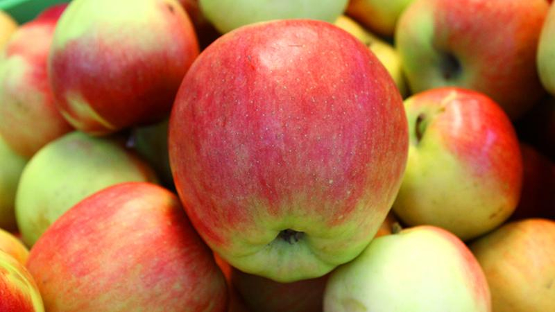 Пять доступных продуктов, которые помогут очистить организм