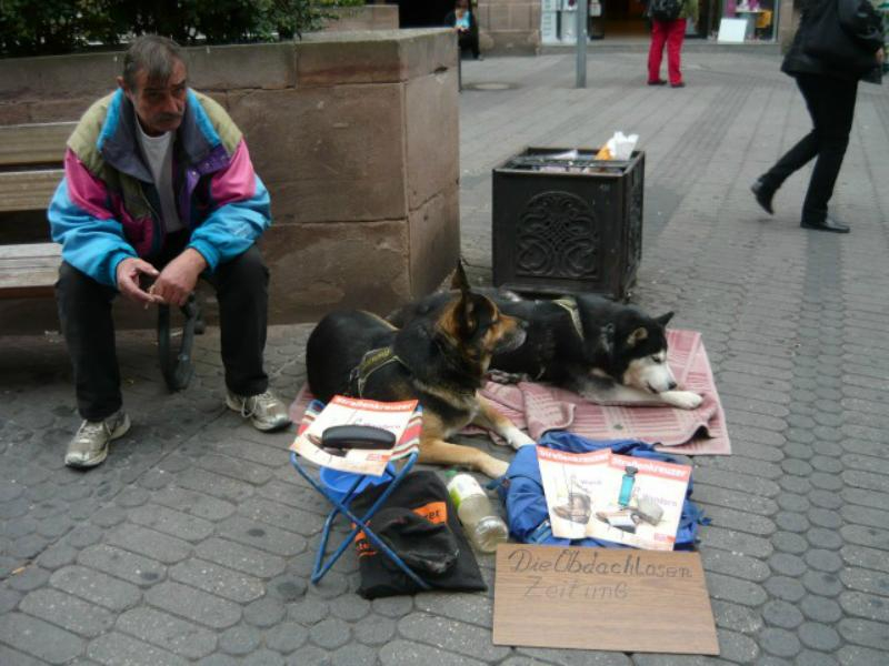 Президент Финляндии и автор Angry Birds стали "бездомными бродягами"