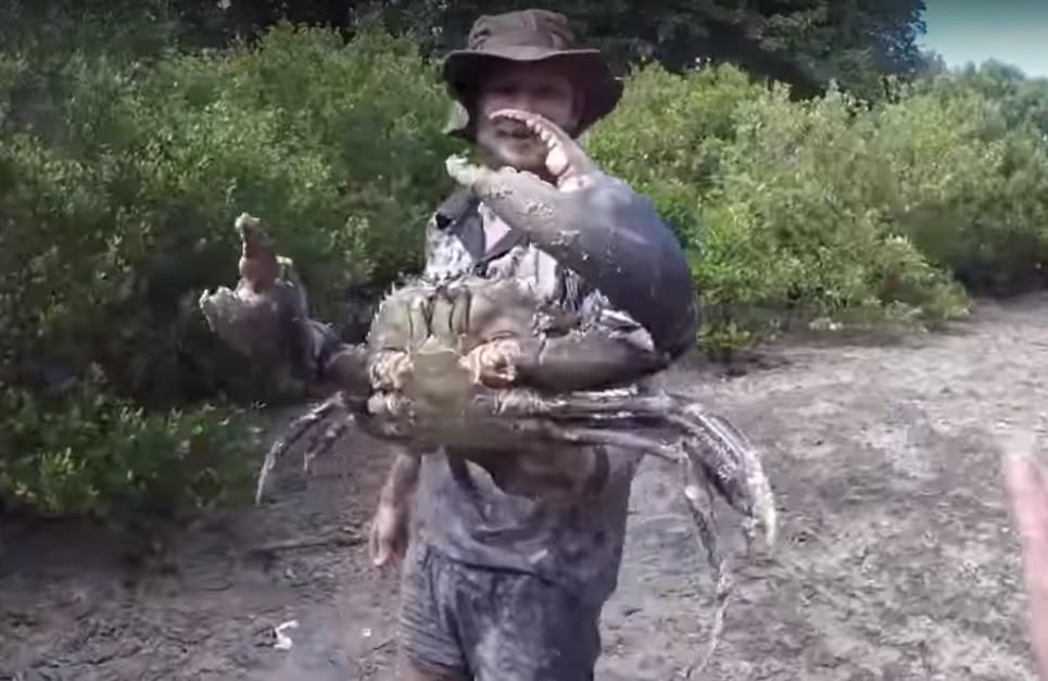 Австралиец поймал краба голыми руками и едва не потерял палец: видео Австралиец поймал краба голыми руками и едва не потерял палец: видео