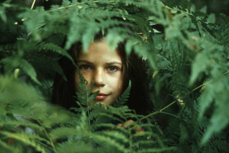 Ивана Купала 2019 – обряды и традиции праздника Ивана Купала Ивана Купала 2019 – обряды и традиции праздника Ивана Купала