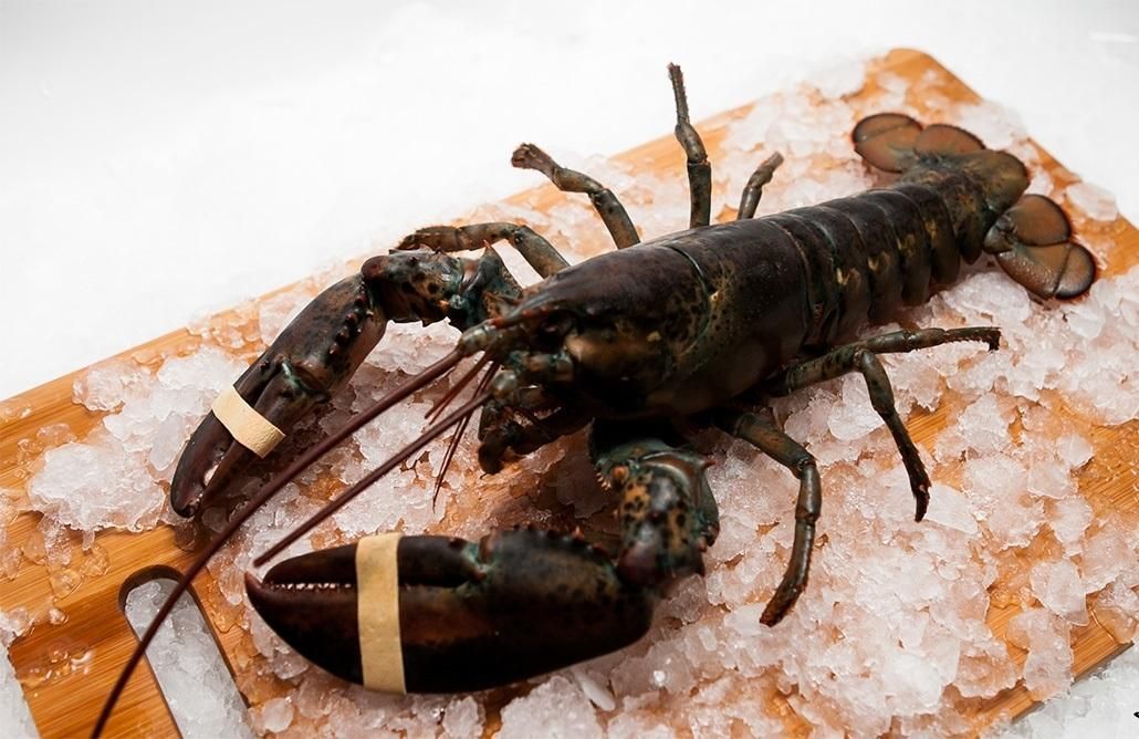 Співробітники аеропорту влаштували фотосесію із гігантський лобстером з багажу: власниця обурена Співробітники аеропорту влаштували фотосесію із гігантський лобстером з багажу: власниця обурена