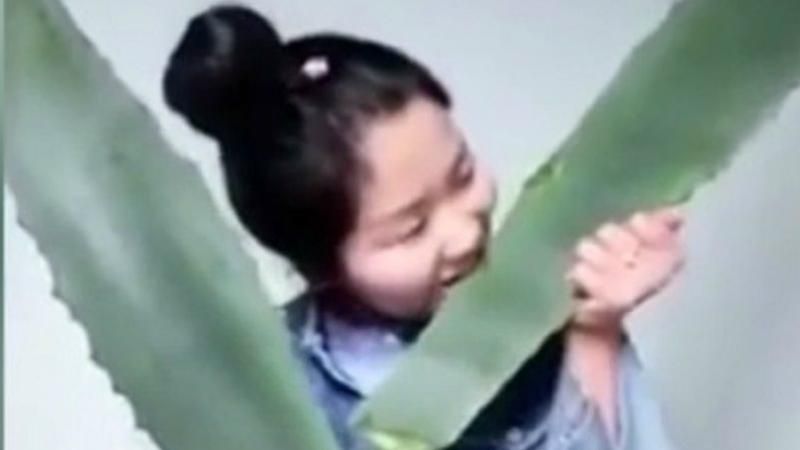 Дівчина з'їла отруйну рослину під час трансляції свого блогу: відео