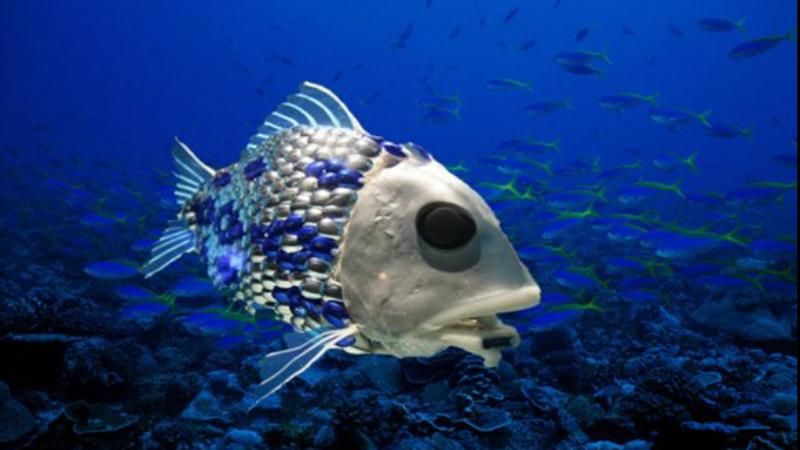 Японцы поразили мир презентацией рыб-роботов: появилось видео Японцы поразили мир презентацией рыб-роботов: появилось видео