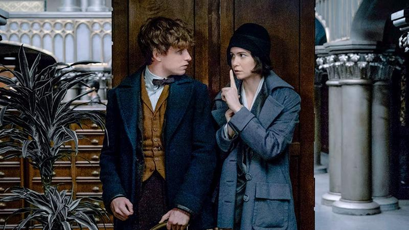 Обнародованы детали сюжета "Фантастических зверей – 2"