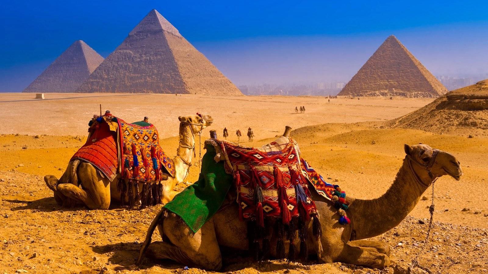 Українців закликають уникати подорожей до Єгипту та Індії Українців закликають уникати подорожей до Єгипту та Індії