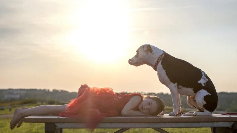 Як фотограф рятує бездомних собак, знімаючи їх на колишньому звалищі Як фотограф рятує бездомних собак, знімаючи їх на колишньому звалищі