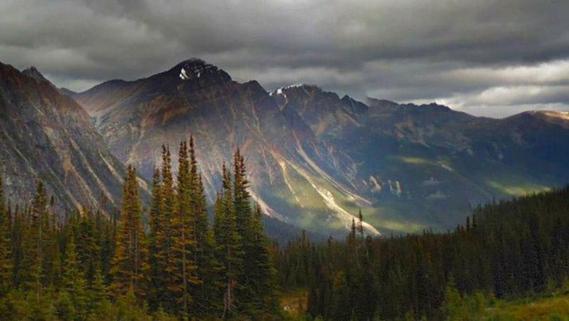 Google создал опцию преобразования панорам на профессиональные фото