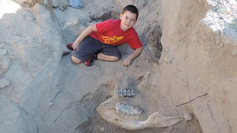 Хлопчик знайшов рештки древньої тварини Хлопчик знайшов рештки древньої тварини