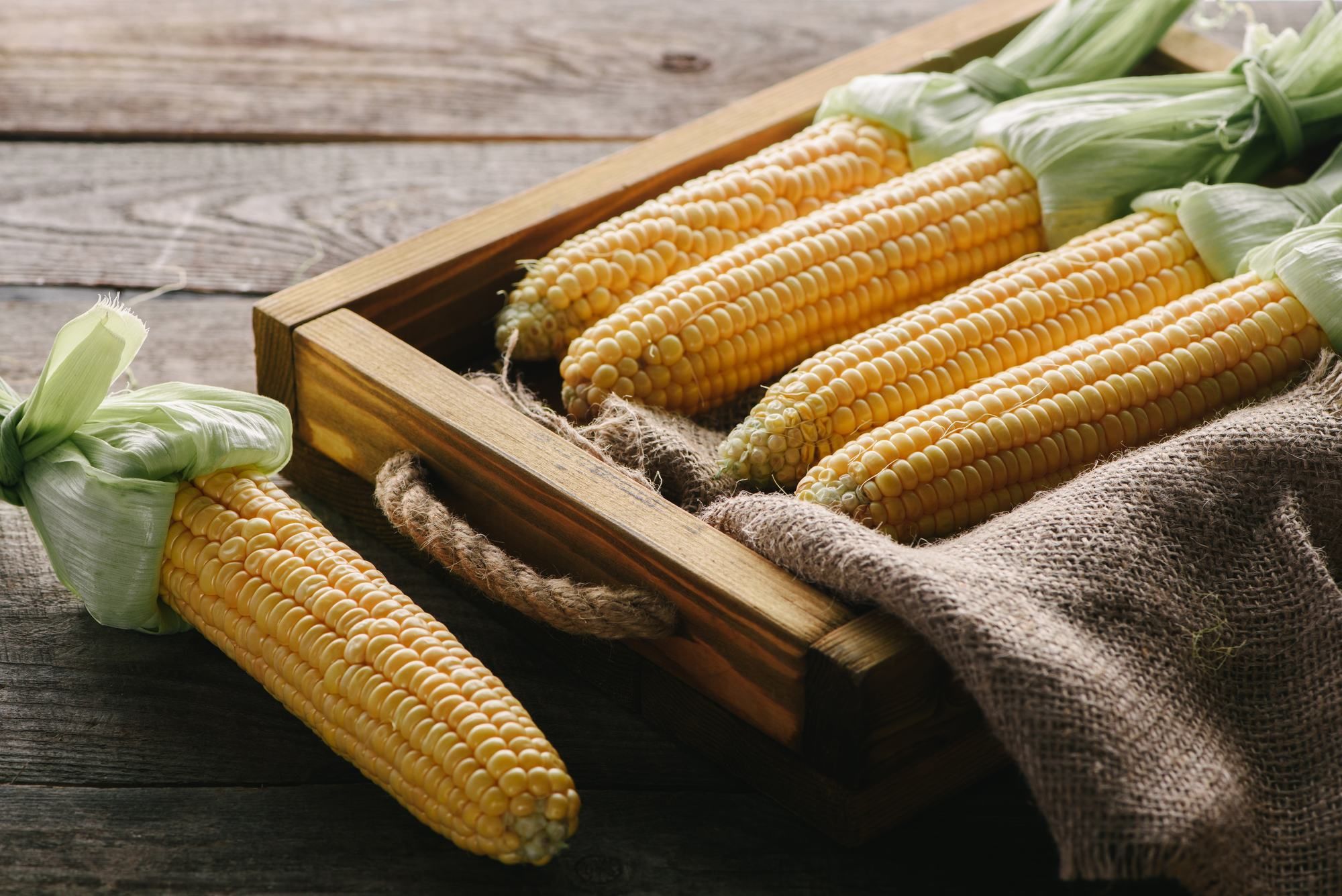 Як варити кукурудзу правильно: корисні поради