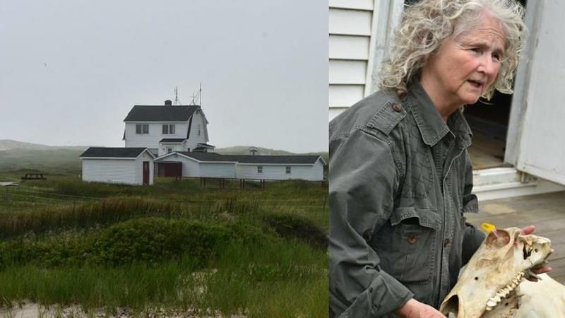 Женщина 40 лет живет в одиночестве на удаленном острове: фото Женщина 40 лет живет в одиночестве на удаленном острове: фото