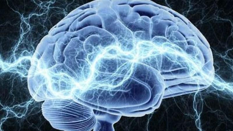 Ученые впервые исследовали мозг во время озарения и сделали интересные выводы