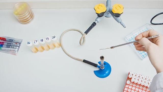 Ученые выяснили, как можно увеличить продолжительность жизни