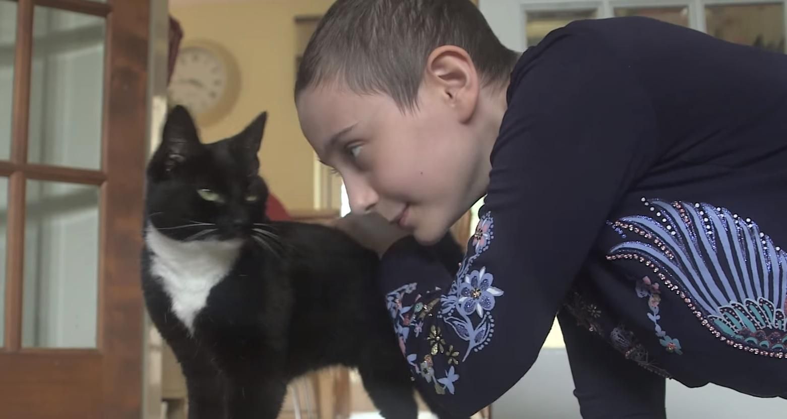 В Британии вручили награду "Кошка года": ею стала кошка, которая помогла владелице побороть рак