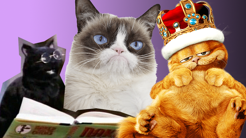 К международному дню кота: самые известные любимцы в кино