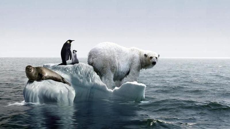 Глобальне потепління за останні 111 років показали на відео Глобальне потепління за останні 111 років показали на відео