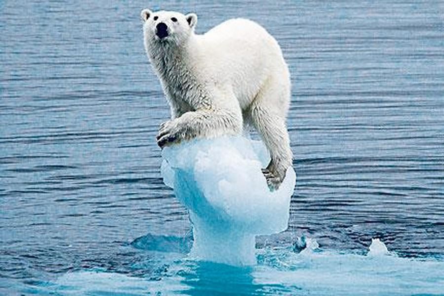 Ученые бьют тревогу: 2016 год – был самым теплым в истории наблюдений Ученые бьют тревогу: 2016 год – был самым теплым в истории наблюдений