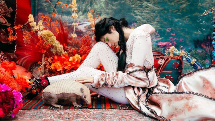 Животных, спасенных от плена, сняли в ярком фотопроекте: невероятные кадры Животных, спасенных от плена, сняли в ярком фотопроекте: невероятные кадры