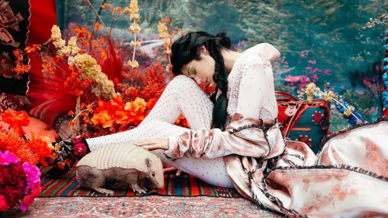 Животных, спасенных от плена, сняли в ярком фотопроекте: невероятные кадры