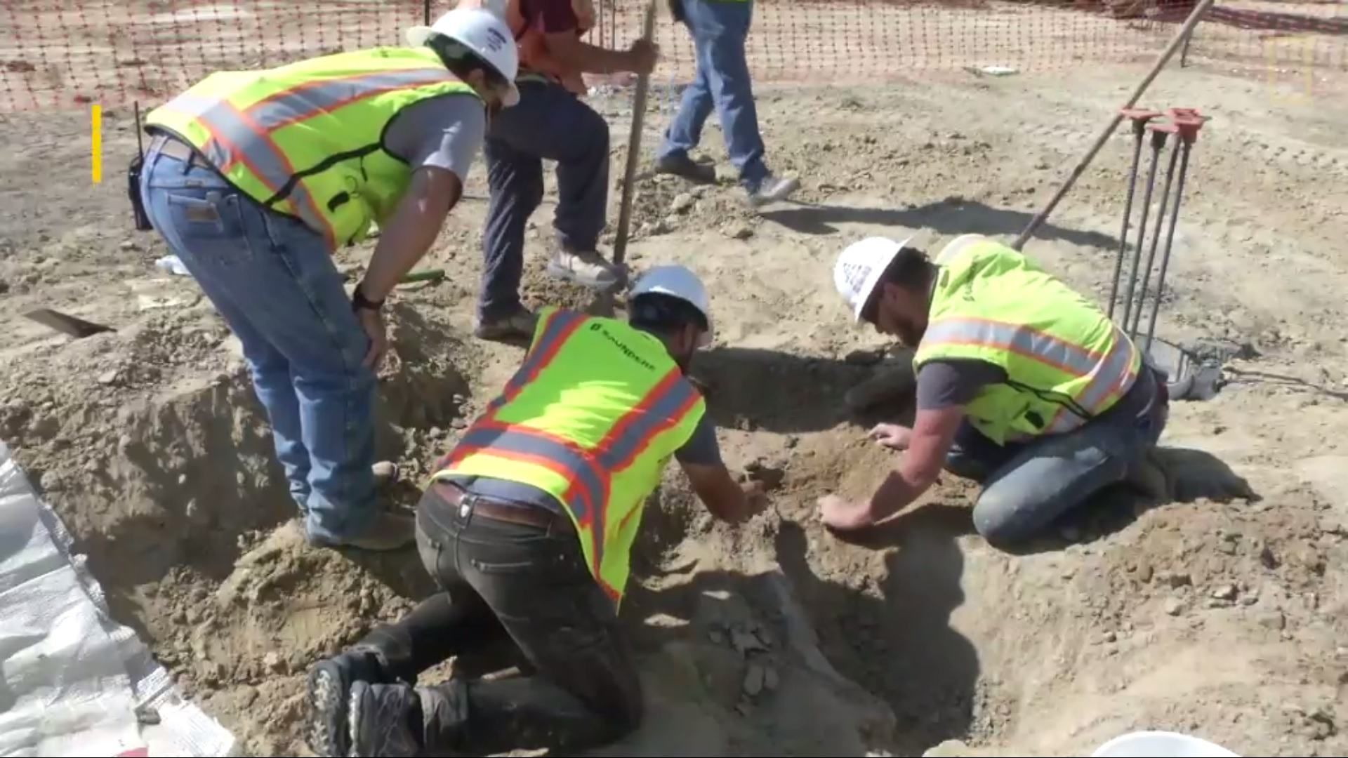 У США будівельники випадково відкопали динозавра: приголомшливе відео У США будівельники випадково відкопали динозавра: приголомшливе відео