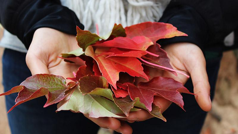 Как побороть осеннюю хандру: 5 проверенных способов