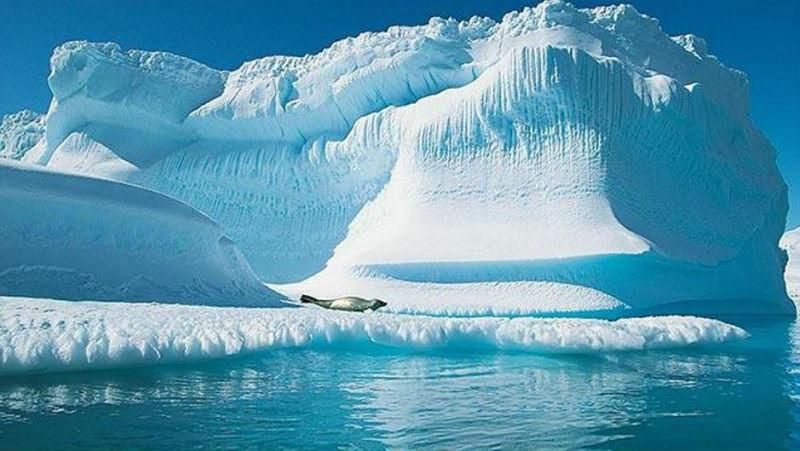 Вічна мерзлота тане та вивільняє смертельні віруси Вічна мерзлота тане та вивільняє смертельні віруси