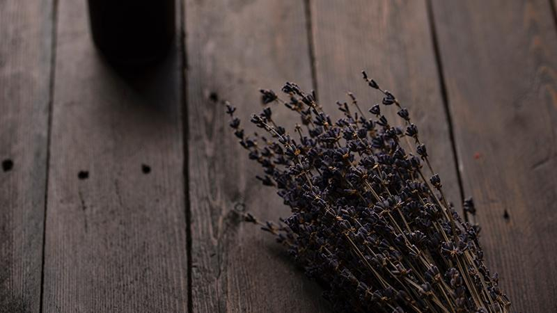 Какие растения необходимо поставить дома, чтобы побороть стресс