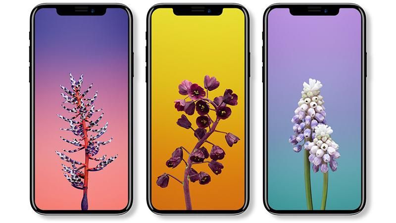 Презентация iPhone 8: официальные фото Презентация iPhone 8: официальные фото