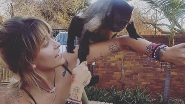 Періс Джексон показала, як голяка відпочиває на дикій природі: фото Періс Джексон показала, як голяка відпочиває на дикій природі: фото