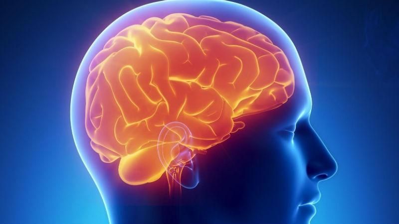 Ученые сумели подключить человеческий мозг к интернету Ученые сумели подключить человеческий мозг к интернету