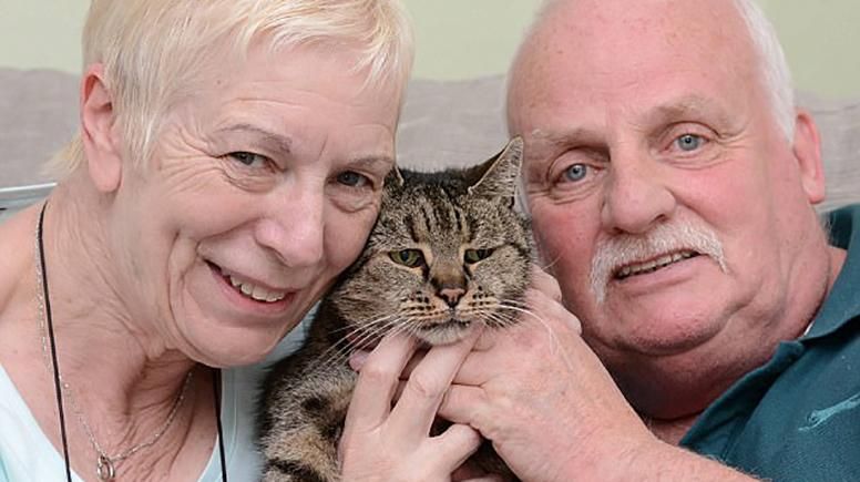 Найстарший в світі кіт помер у Великій Британії