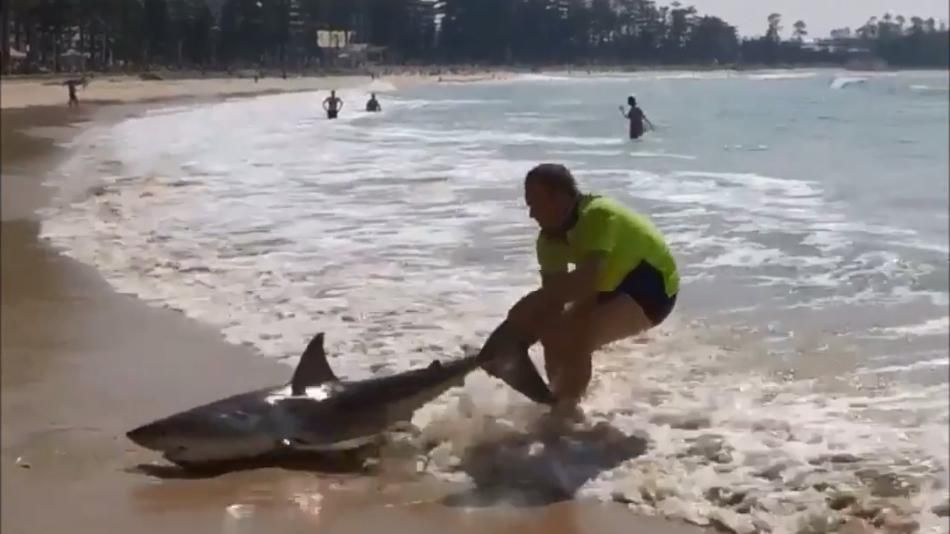 Повторять не стоит: австралиец отчаянно затянул за хвост акулу в океан
