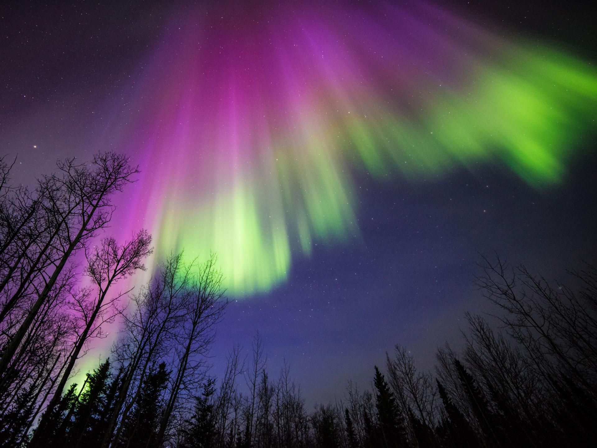 Дивовижне північне сяйво над Канадою показали з космосу: фото