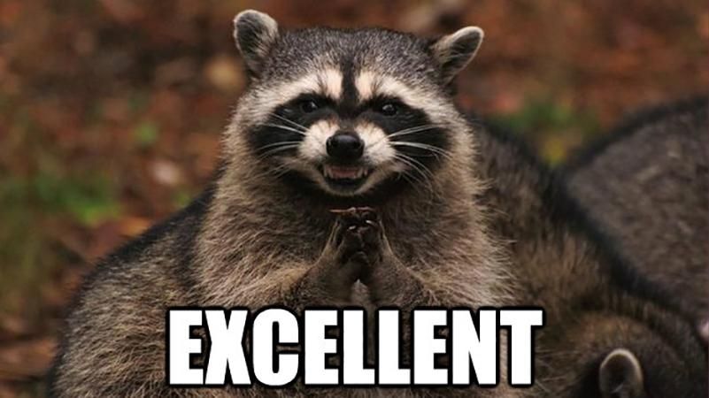 Фотофакт: хамовитий єнот атакував автомобіль поліцейських Фотофакт: хамовитий єнот атакував автомобіль поліцейських