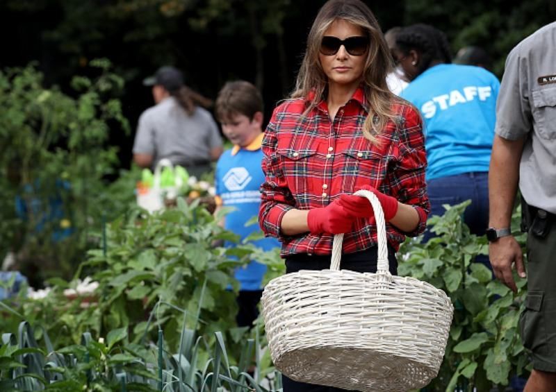 Стильна Меланія Трамп висадила капусту на городі біля Білого дому: фото 