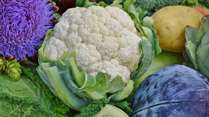 Цветная капуста: что нужно знать о полезном  овоще