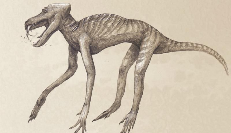 Альтернативні динозаври: як могли б виглядати сучасні види тварин для палеонтологів майбутнього

