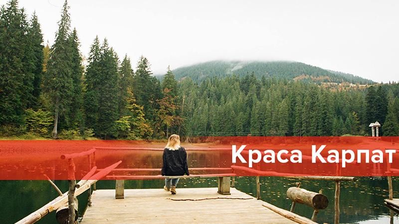 Туристичні маршрути Карпат, які зможе підкорити навіть початківець Туристичні маршрути Карпат, які зможе підкорити навіть початківець