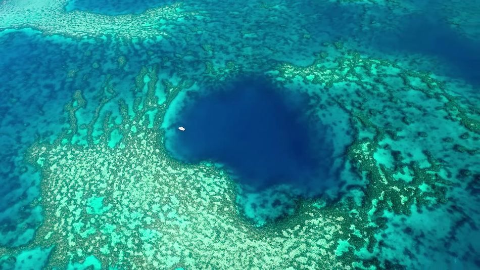 Біля Великого Бар'єрного рифа знайдено вражаючу "блакитну діру": відео