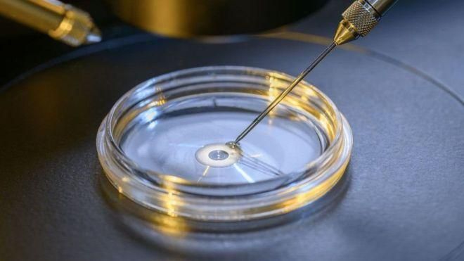 Вчені вперше провели надскладну операцію на людському ембріоні
