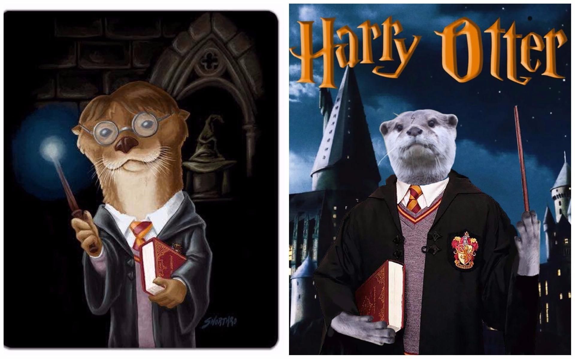 Джоан Роулинг обратилась к поклонникам с необычной просьбой: забавные фото Джоан Роулинг обратилась к поклонникам с необычной просьбой: забавные фото