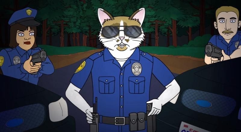 Разбирается в работе с документами, – новозеландская полиция взяла на работу котов
Разбирается в работе с документами, – новозеландская полиция взяла на работу котов