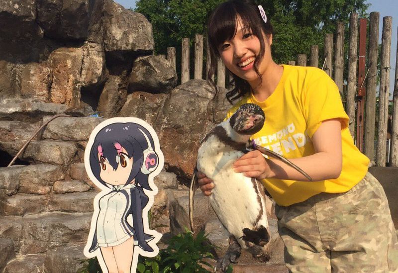 Журбинка дня: у Японії помер "закоханий" у вигадану дівчинку пінгвін 
