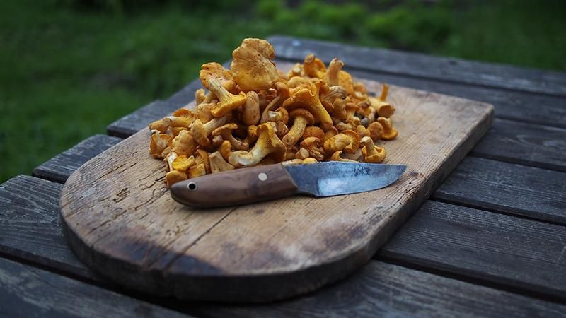 Визначено унікальність грибної дієти 
