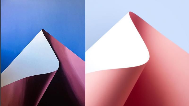 Украинскую художницу обвинили в плагиате: сравнение картин Украинскую художницу обвинили в плагиате: сравнение картин