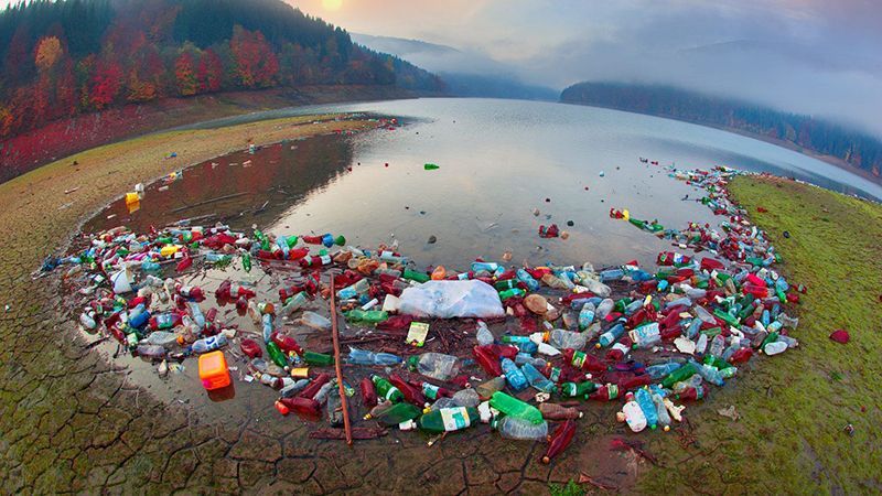 Фотограф шокировал кадрами замусоренных Карпат: фото Фотограф шокировал кадрами замусоренных Карпат: фото