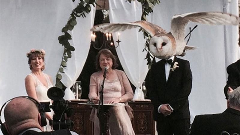 Что-то пошло не так: самые эпические свадебные фотографии