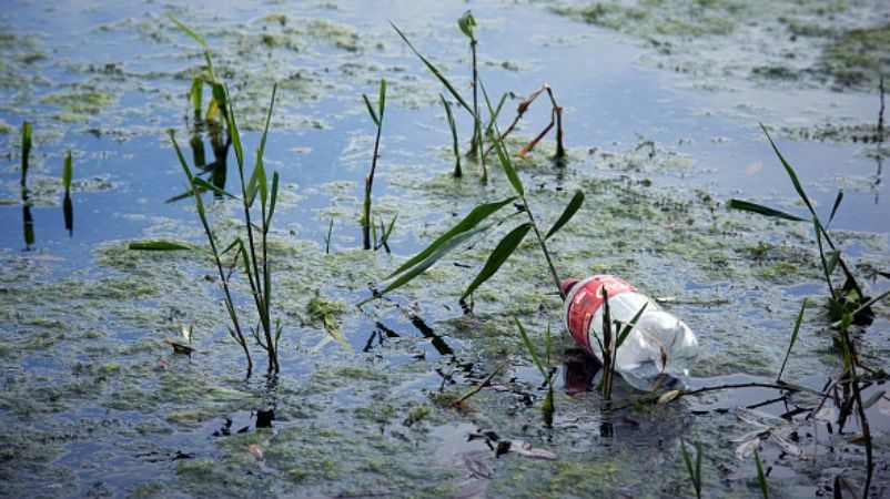 "Свято віддаляється": Greenpeace зняли альтернативу популярній різдвяній рекламі "Свято віддаляється": Greenpeace зняли альтернативу популярній різдвяній рекламі