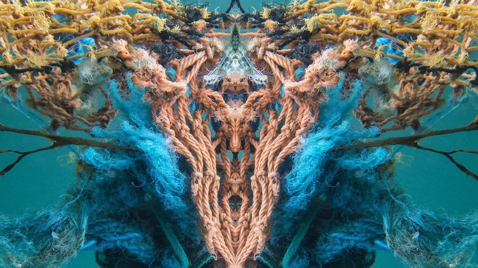 Мусор как терапия и искусство: фотограф под водой делает невероятные снимки из отходов