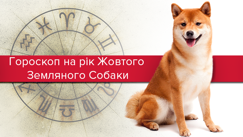 Гороскоп на 2018 рік Собаки по знакам Зодіаку від астрологів